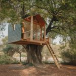 Séjour insolite en Provence : dormez dans une cabane perchée